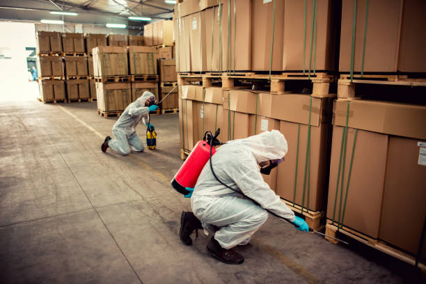 Professional Pest Control in Lubbock, TX