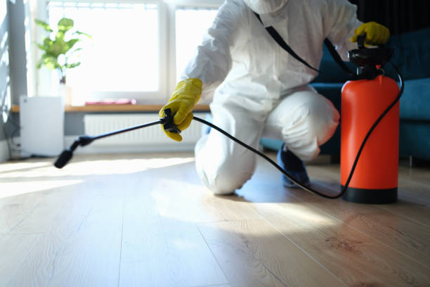 Pest Control Cost in Lubbock, TX