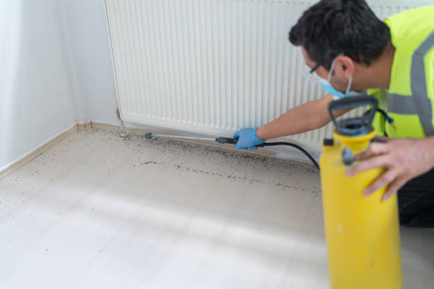Best Best Pest Control Companies  in Lubbock, TX